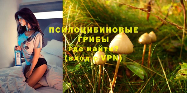 хмурый Алексеевка