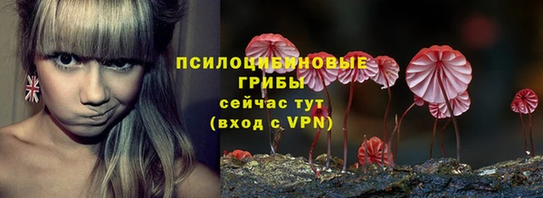 дживик Алзамай