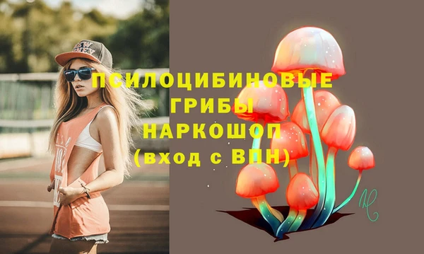 дживик Алзамай